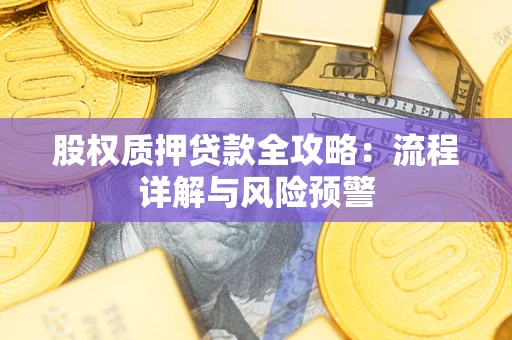 济南股权质押贷款全攻略：流程详解与风险预警