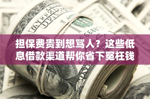 济南担保费贵到想骂人？这些低息借款渠道帮你省下冤枉钱