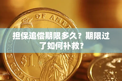 济南担保追偿期限多久？期限过了如何补救？