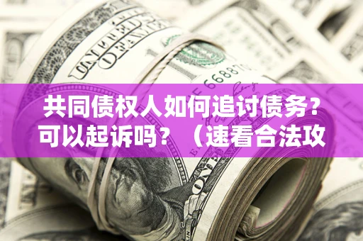 济南共同债权人如何追讨债务？可以起诉吗？（速看合法攻略）