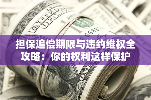 济南担保追偿期限与违约维权全攻略：你的权利这样保护