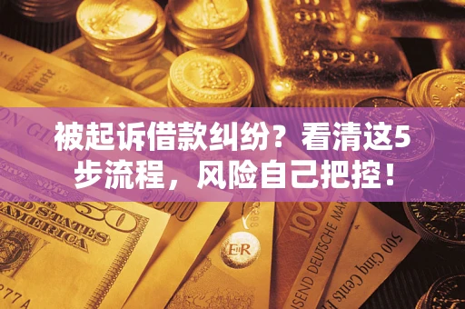 济南被起诉借款纠纷？看清这5步流程，风险自己把控！